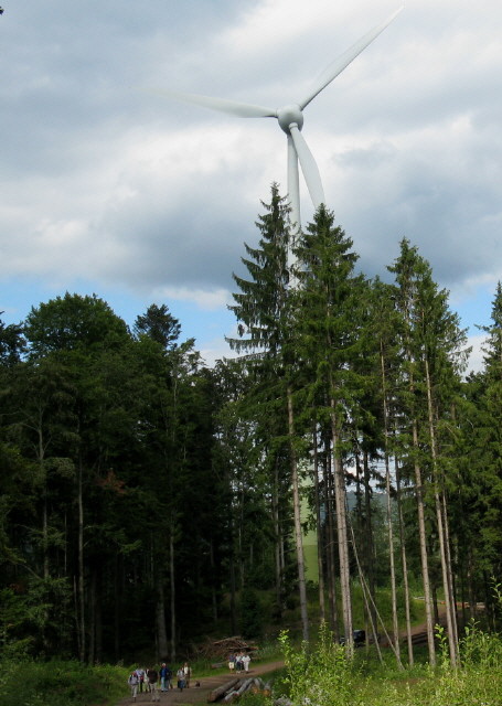 Windräder im Wald